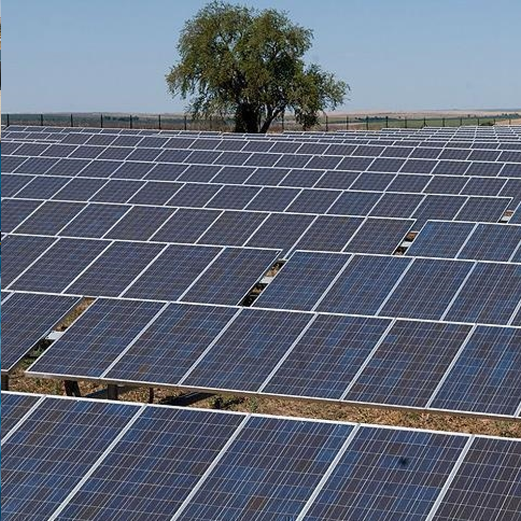 Project for the Implementation of Solar Energy Systems in South Syria