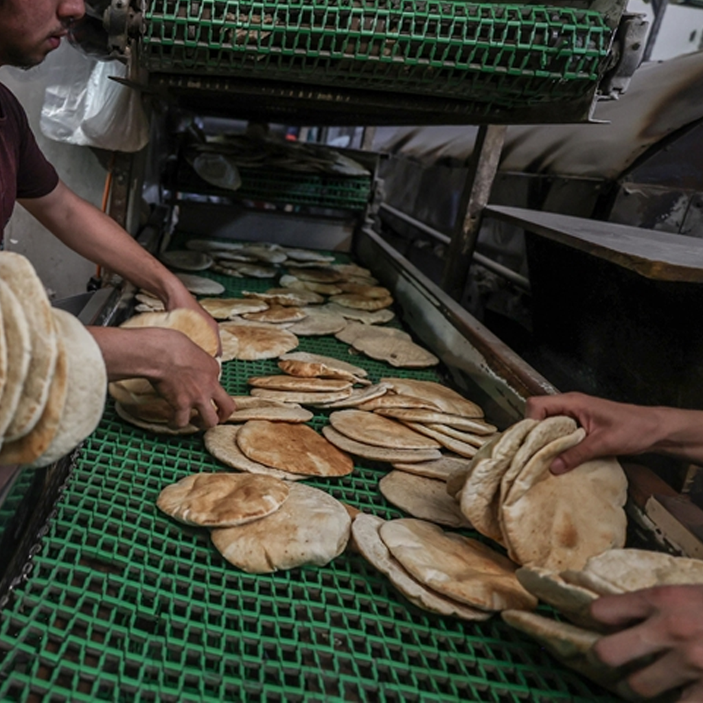 Operating and Maintaining Automated Bakeries in South Syria